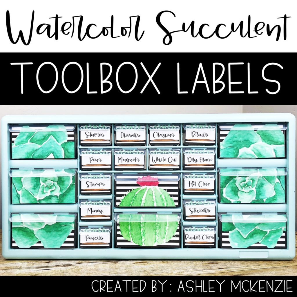 Watercolor succulent teacher toolbox labels