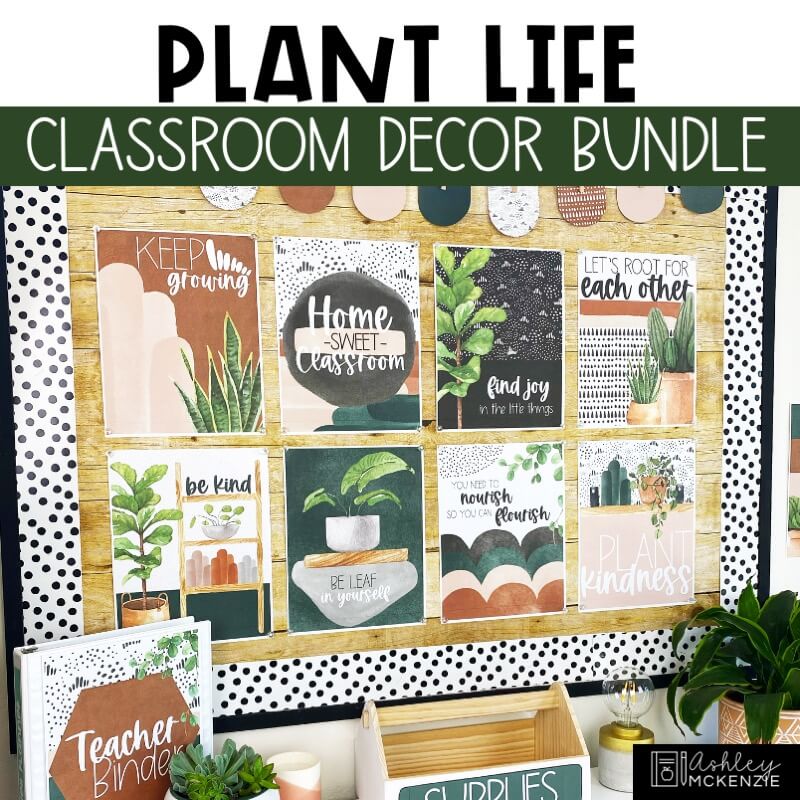 A classroom decorated with a plant theme in earth tones